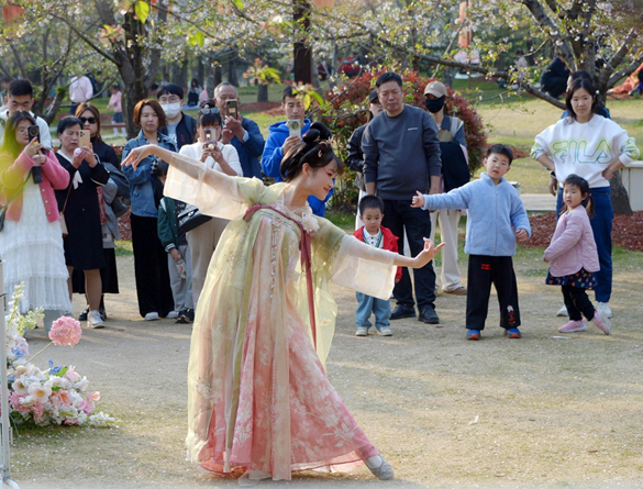 清明假期期間，上海顧村公園櫻花島上，游客在觀賞國風(fēng)漢服快閃表演。（圖片來源：視覺中國）