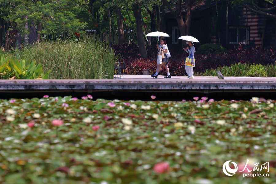 市民游客漫步于蓮池廊道。人民網(wǎng)記者 陳博攝