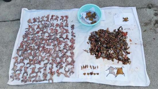 被宰殺的癩蛤蟆